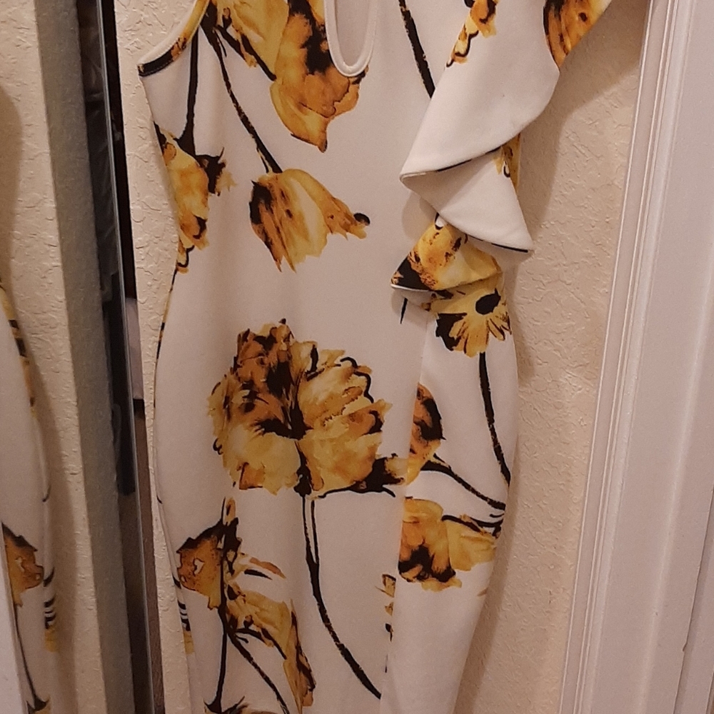 Privy Stylish Ruffled Dress - Picture 7 of 8